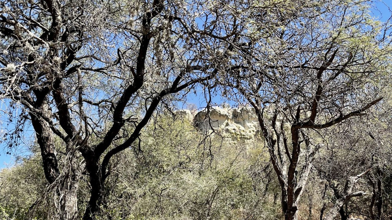 San Antonio to La Presa Hike and Lunch at La Frontera