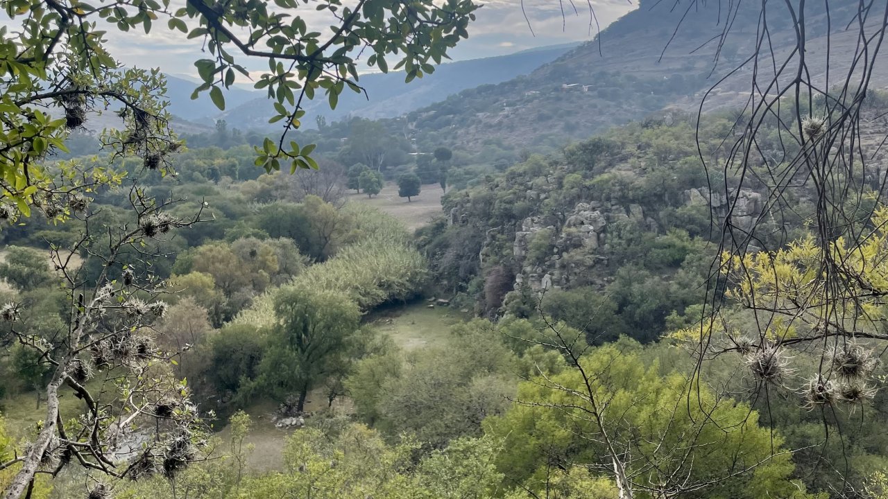 El Prado Hike, Meditation in Nature and Delicious Mexican Comida