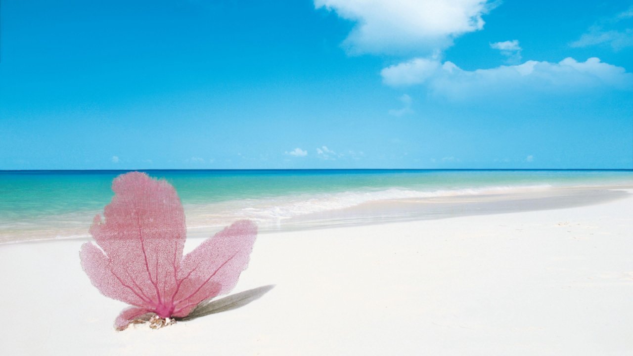 Safari Blue Zanzibar