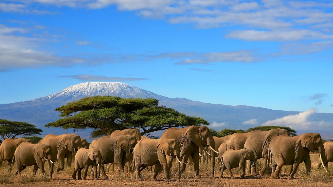 Mt kilimanjaro .