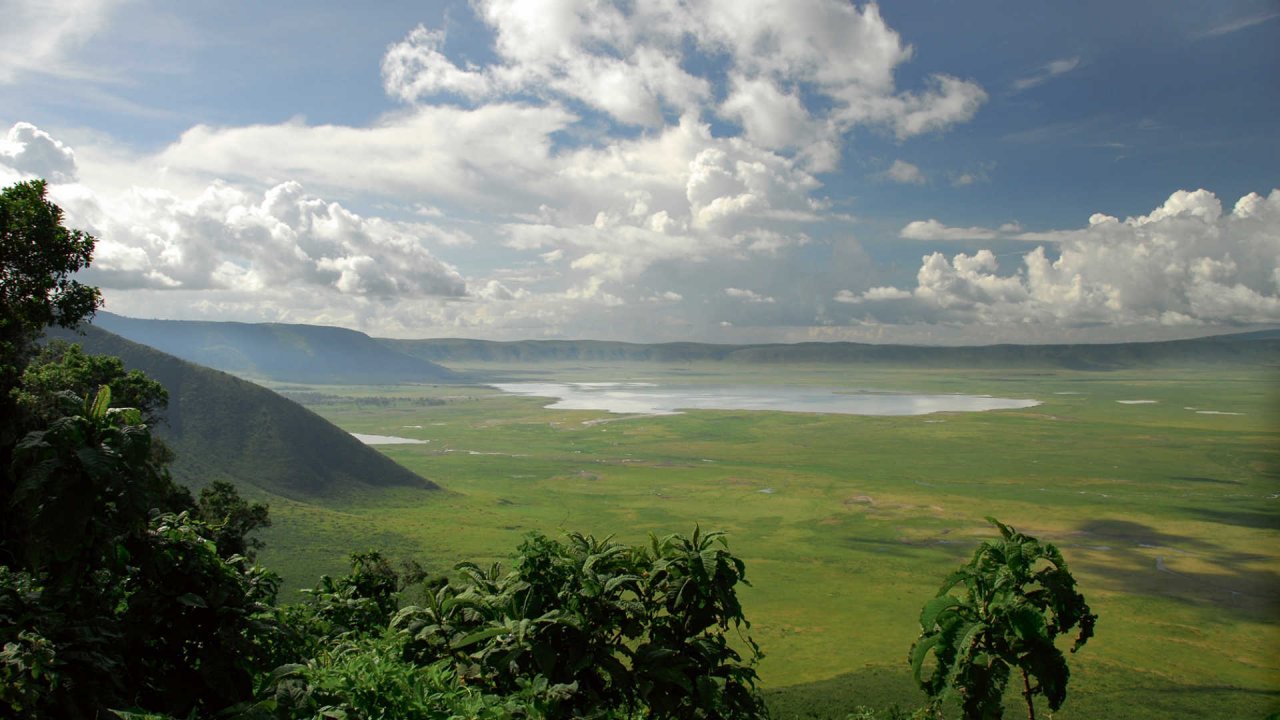 Tanzania safari 