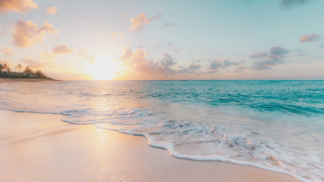 Gold of zanzibar