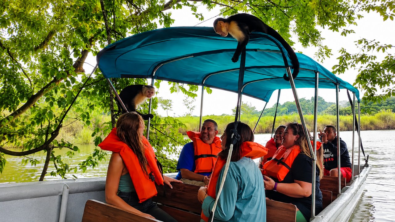 Monkey Island and Lake Gatun wildlife tour Panama