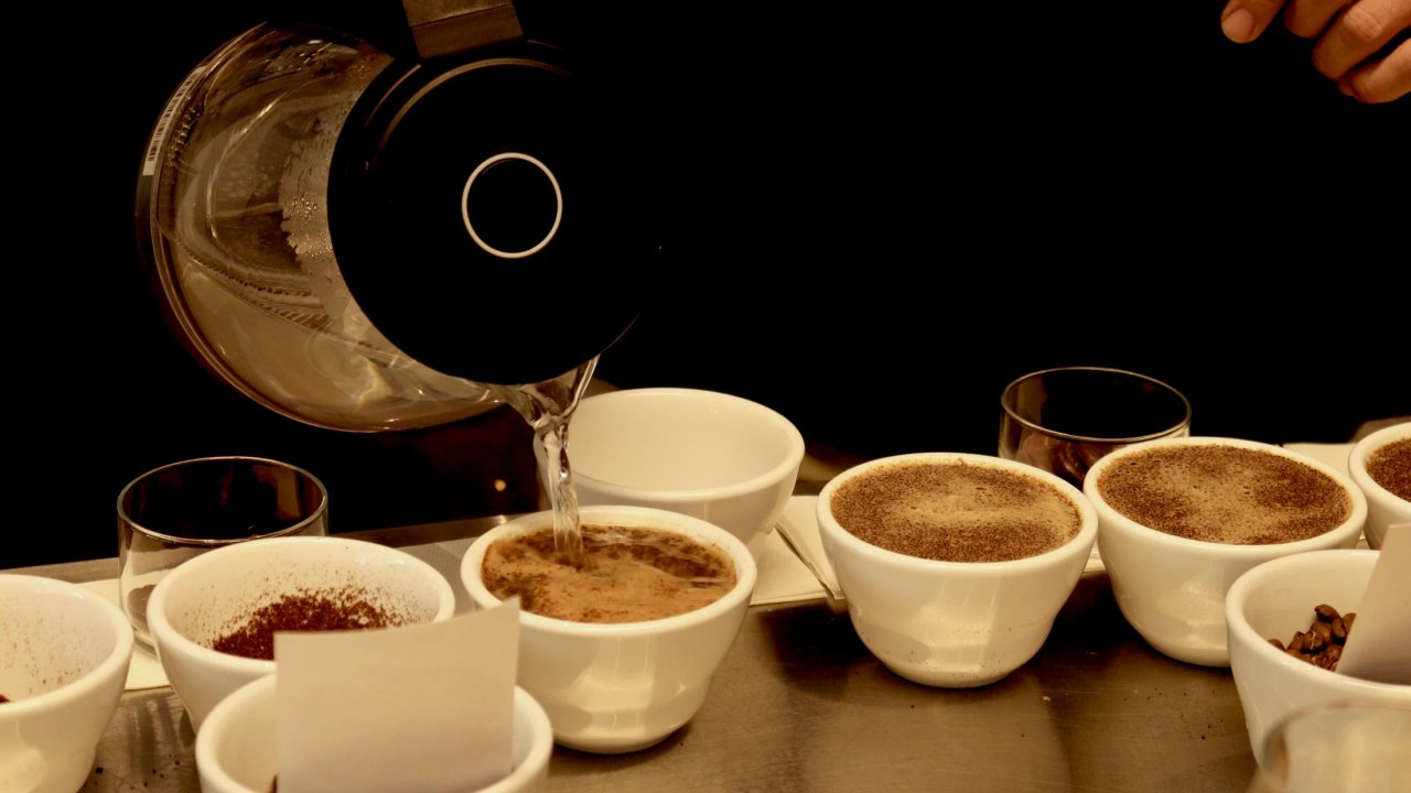 Panama specialty coffee tasting experience