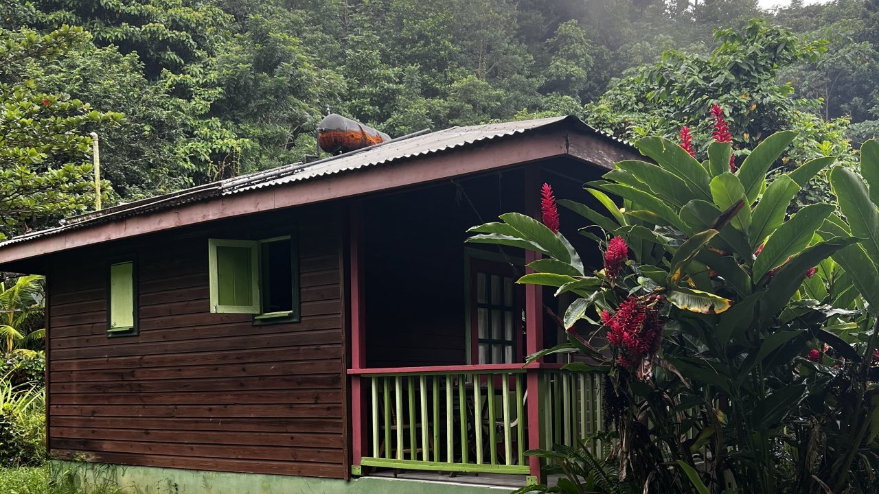 3 Rivers Eco Lodge, Rosalie