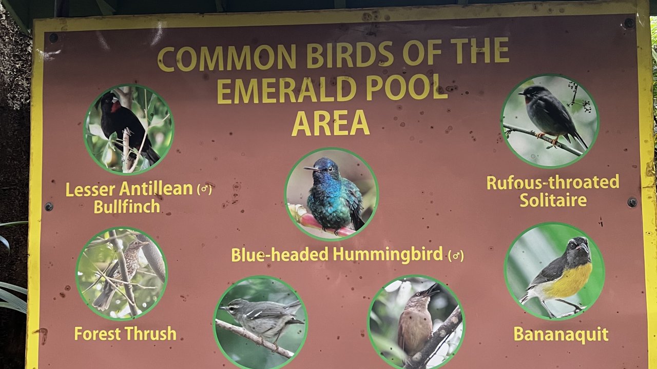 Emerald Pool Trail