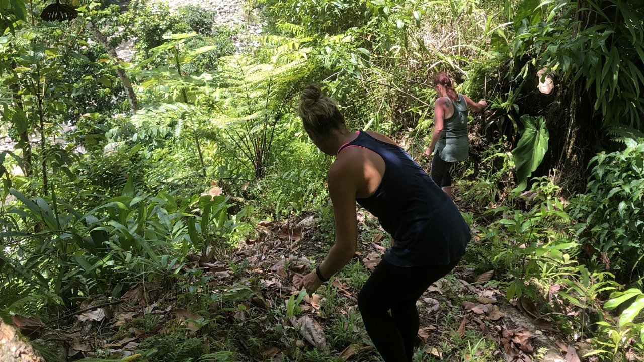 Jaco Steps Hike