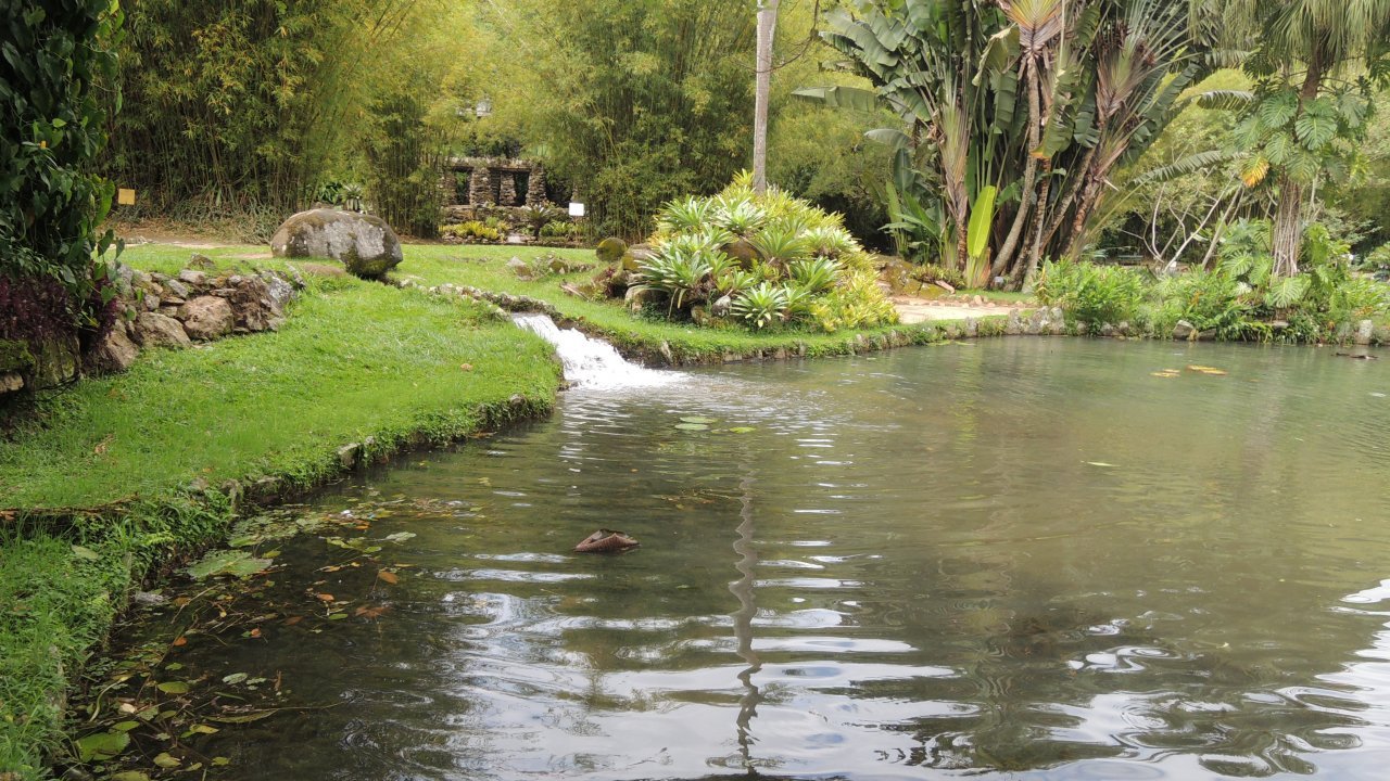Rio Botanical Garden by Luis Darin