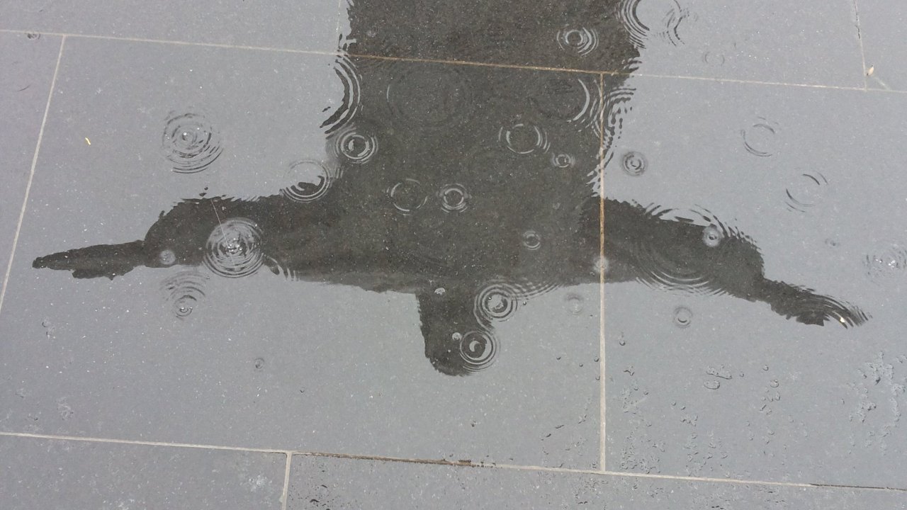 Christ Monument refelction on a rainy day by Luis Darin