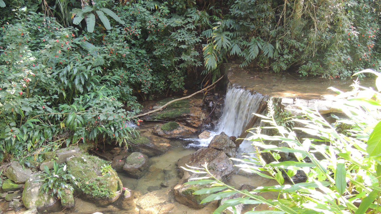 Waterfall at Tijuca National Park