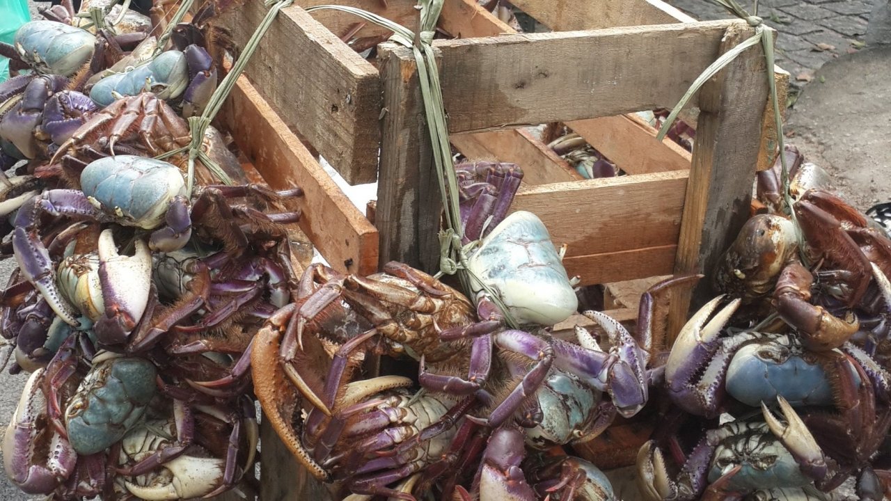 Crabs at the farmers market