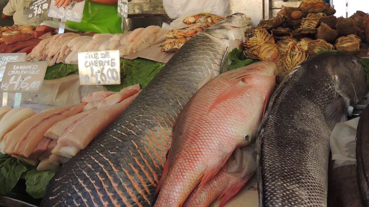 Fish stand at the farmers market