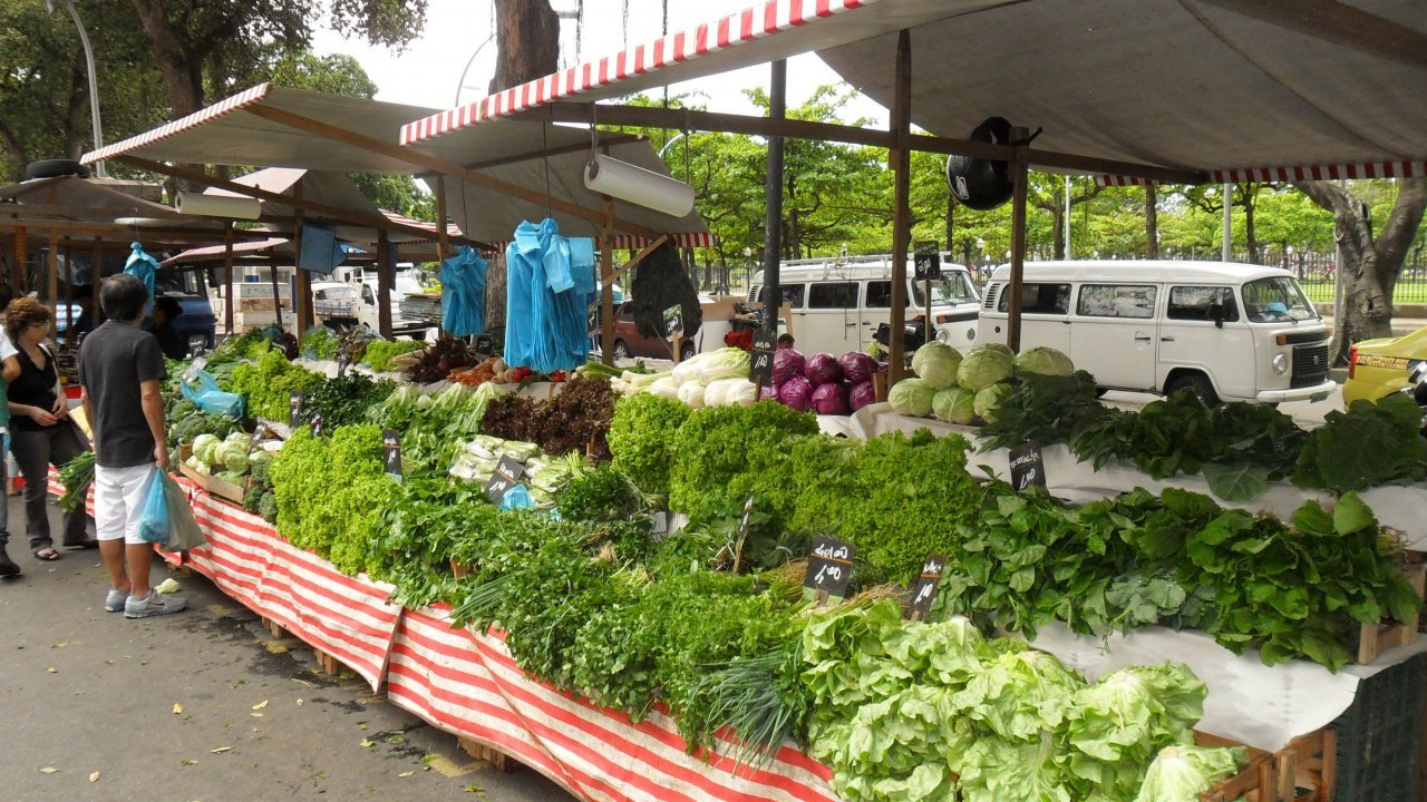 Fresh vegetables stand at the farmers market