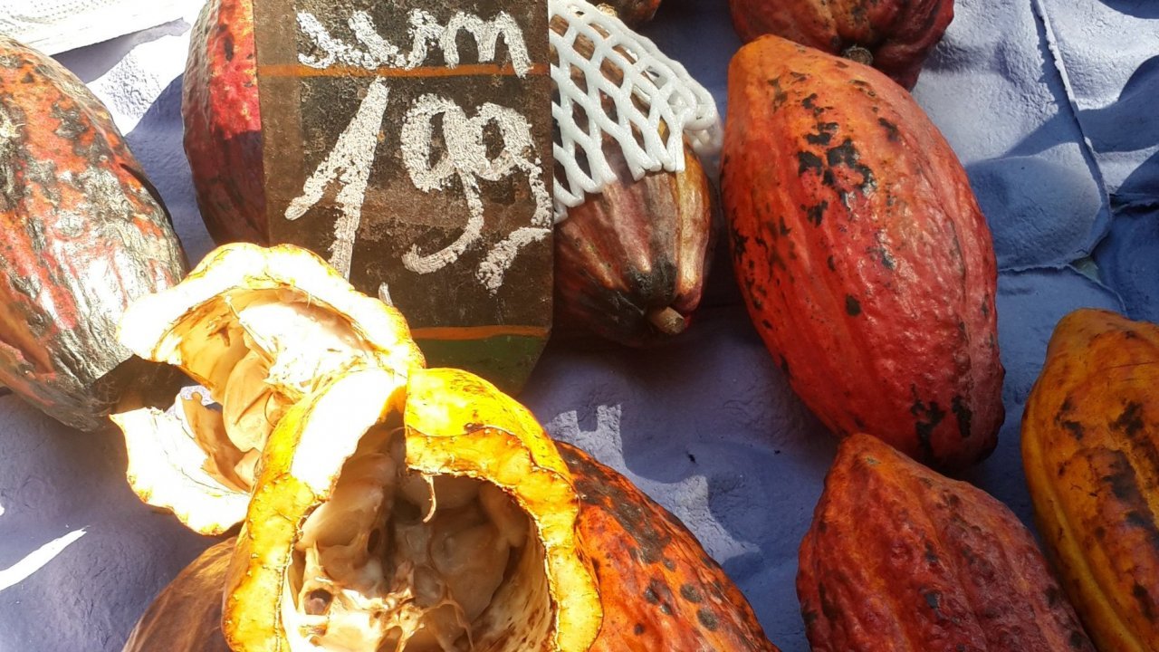 Fruit stand at the farmers market