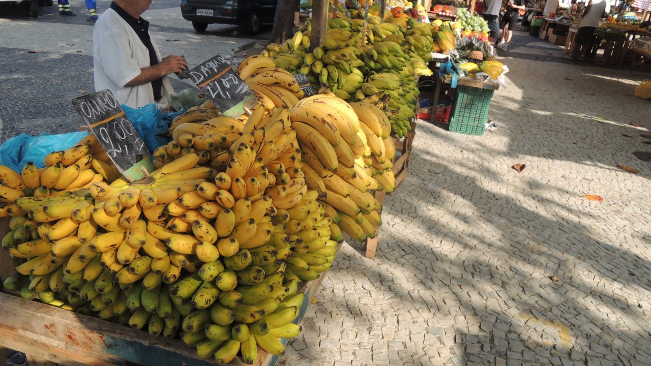 Fruit stand at the farmers market