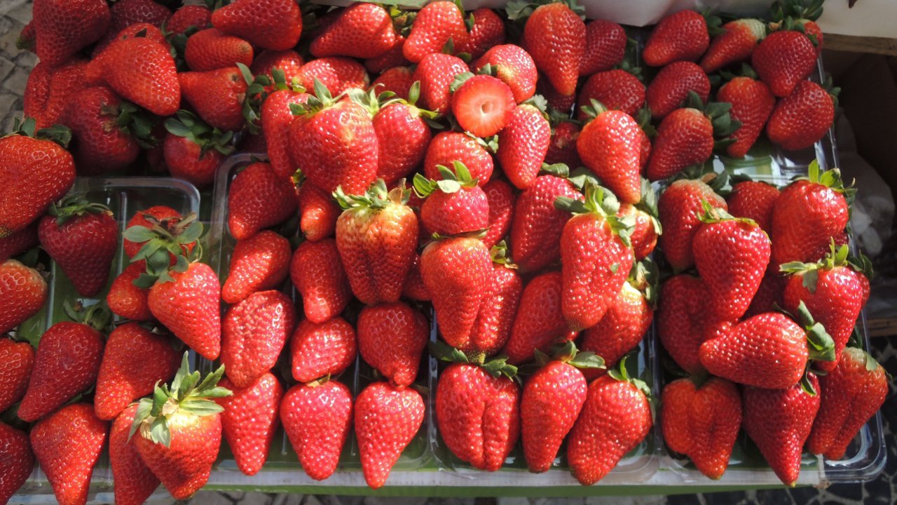 Fruit stand at the farmers market