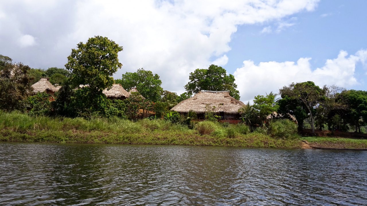 The Embera's