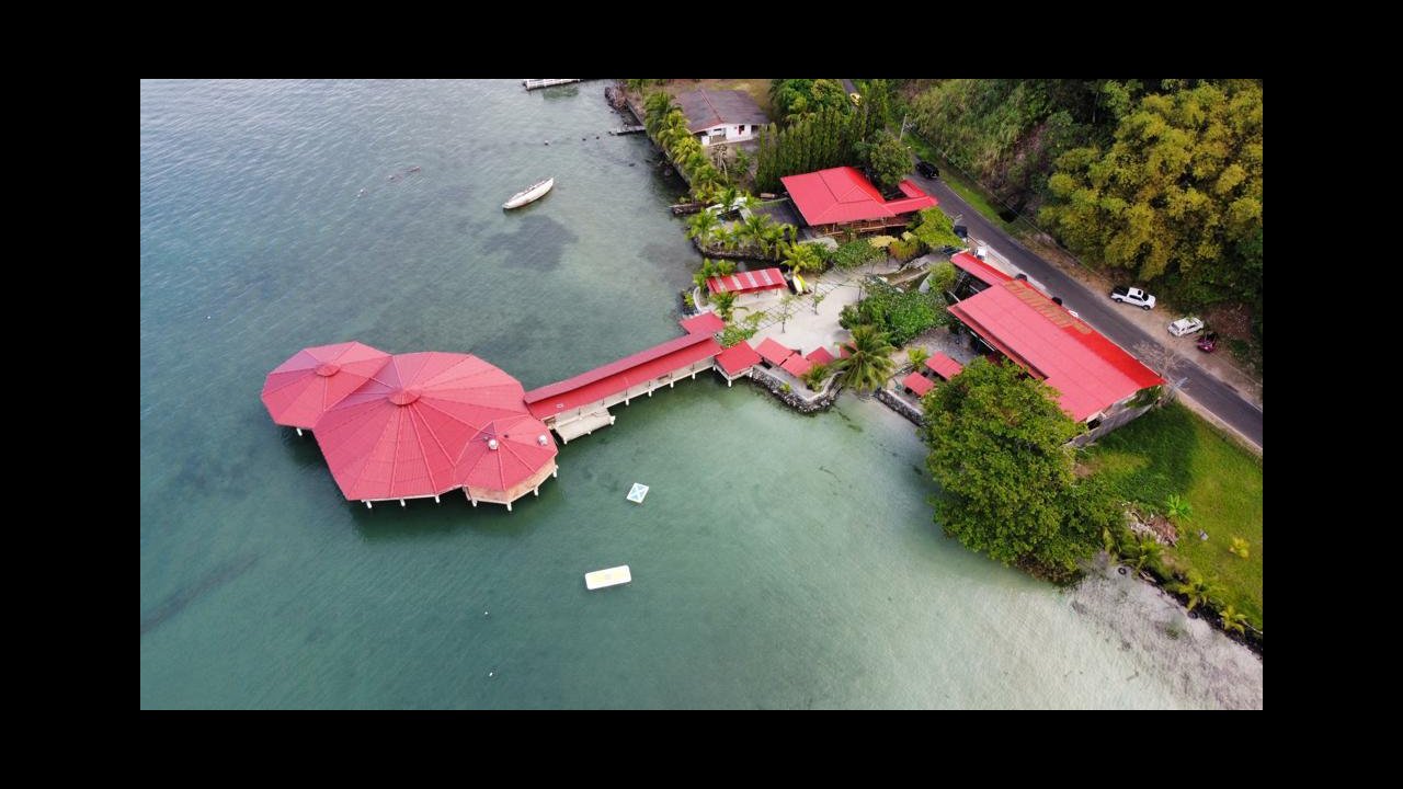 El Bongo Hotel Boutique Beach day pass