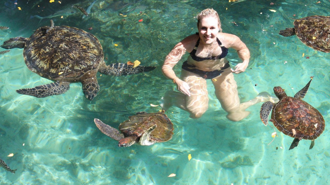 Masai world Village + Turtles aquarium & Zoo Tour + Kendwa Beach Sunset view