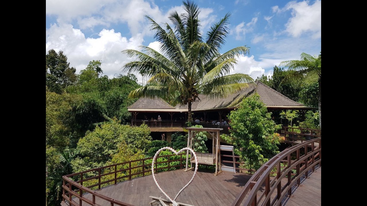 this is our break Place, A coffee plantation . Where you can watch the coffee farmer Make coffee from civet from Start to End.