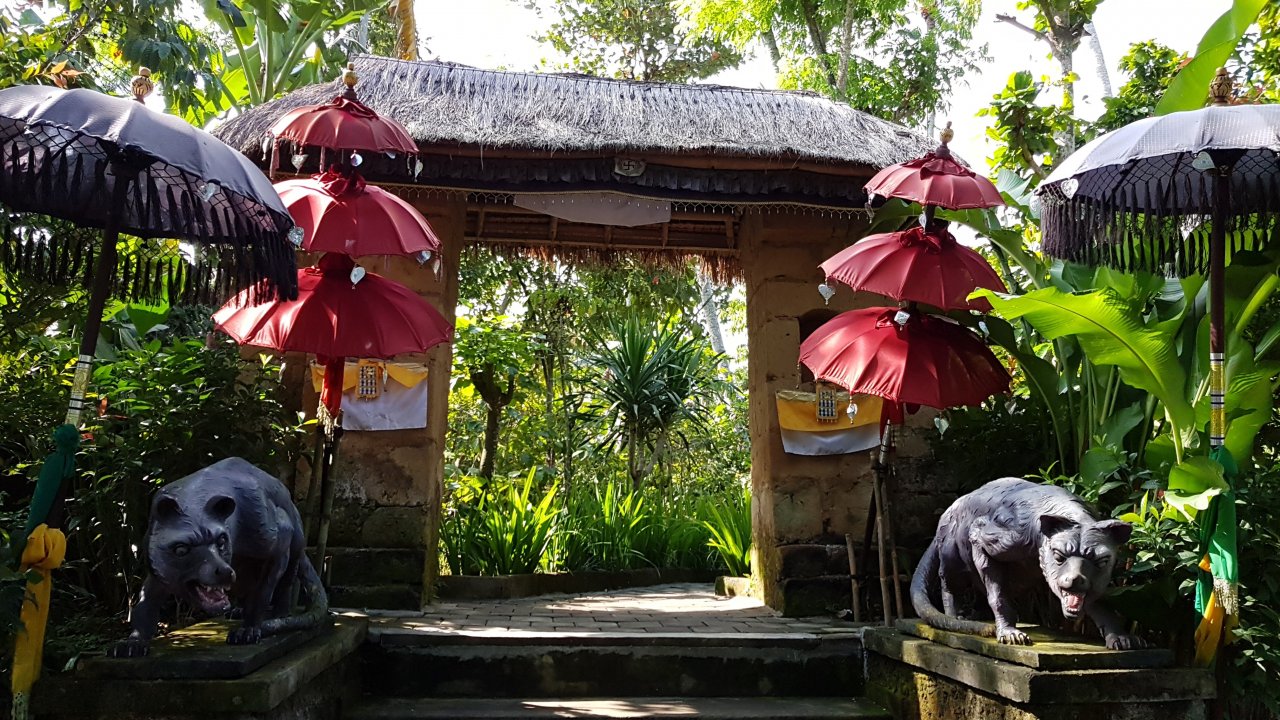 First, we are gonna visit Coffee plantation to start off our tour.