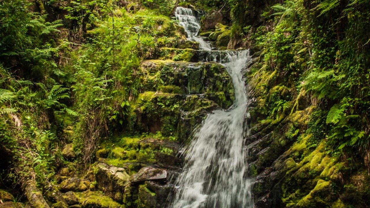 RING OF KERRY - Two Day Tour