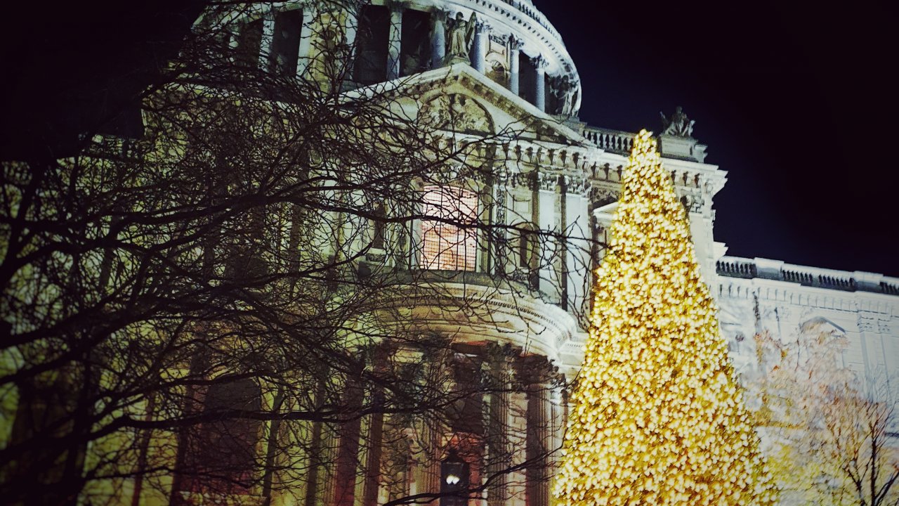St Paul's Cathedral Christmas Tree Christmas Lights