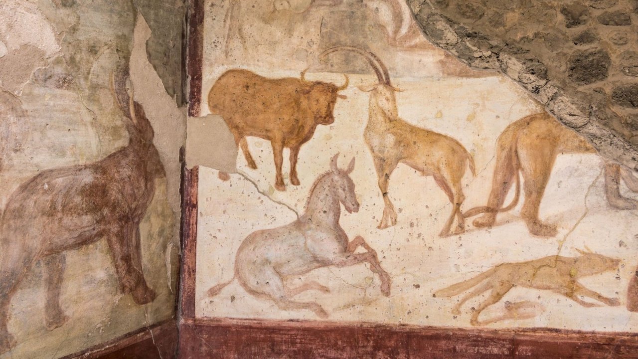 Slow Tourism Pompeii from Rome I