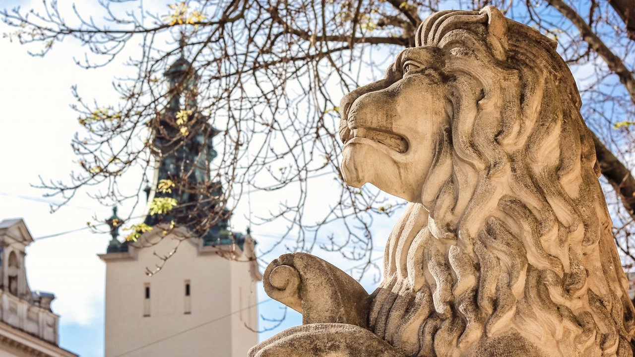 Lviv Highlights I