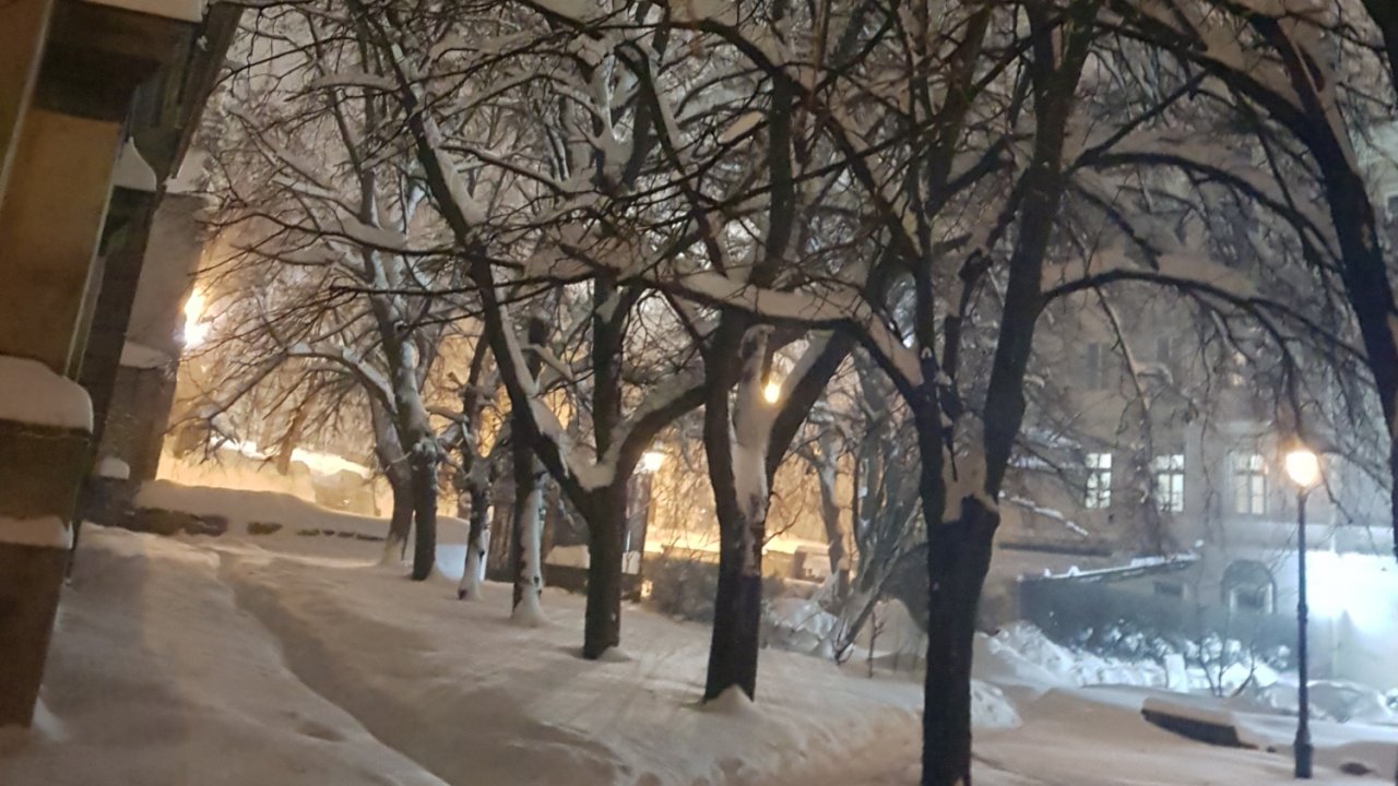 Lviv Nightlights I