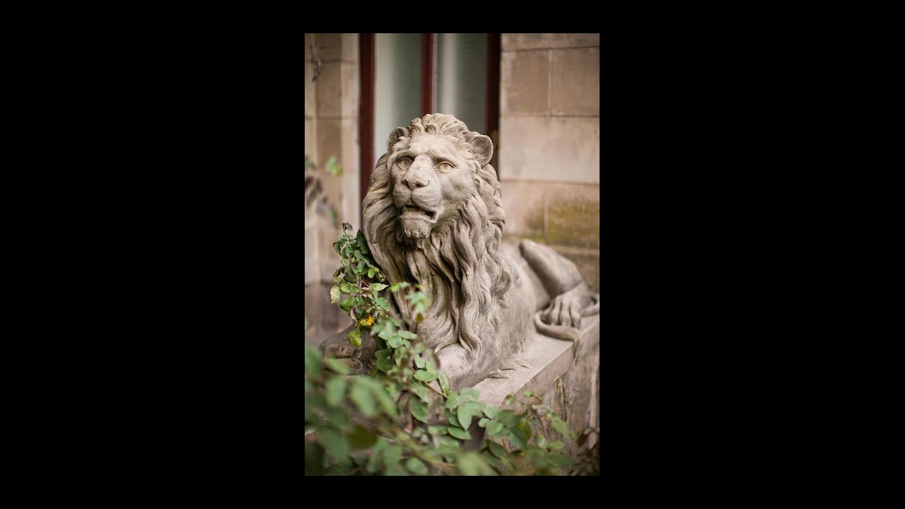 Lviv Lion Hunt II