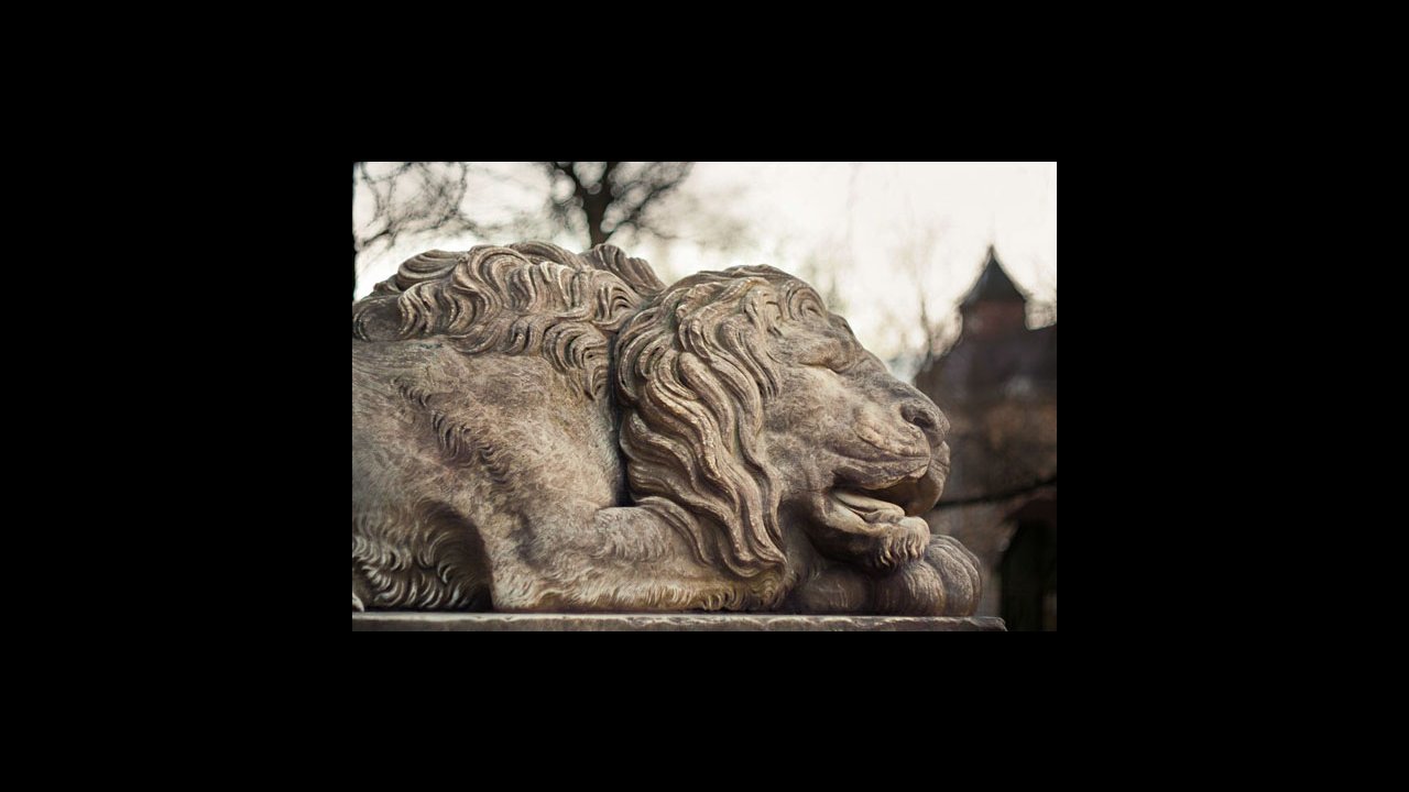 Lviv Lion Hunt III