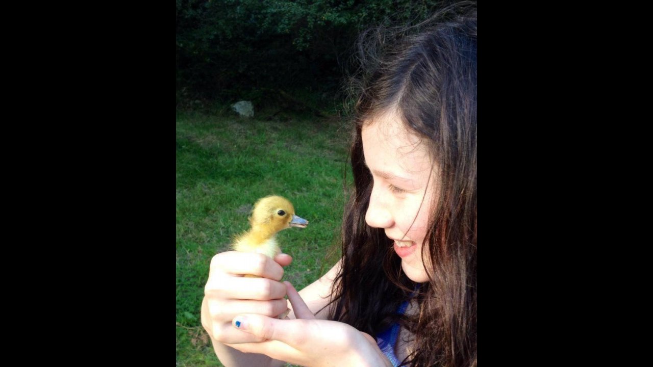 duckling and child