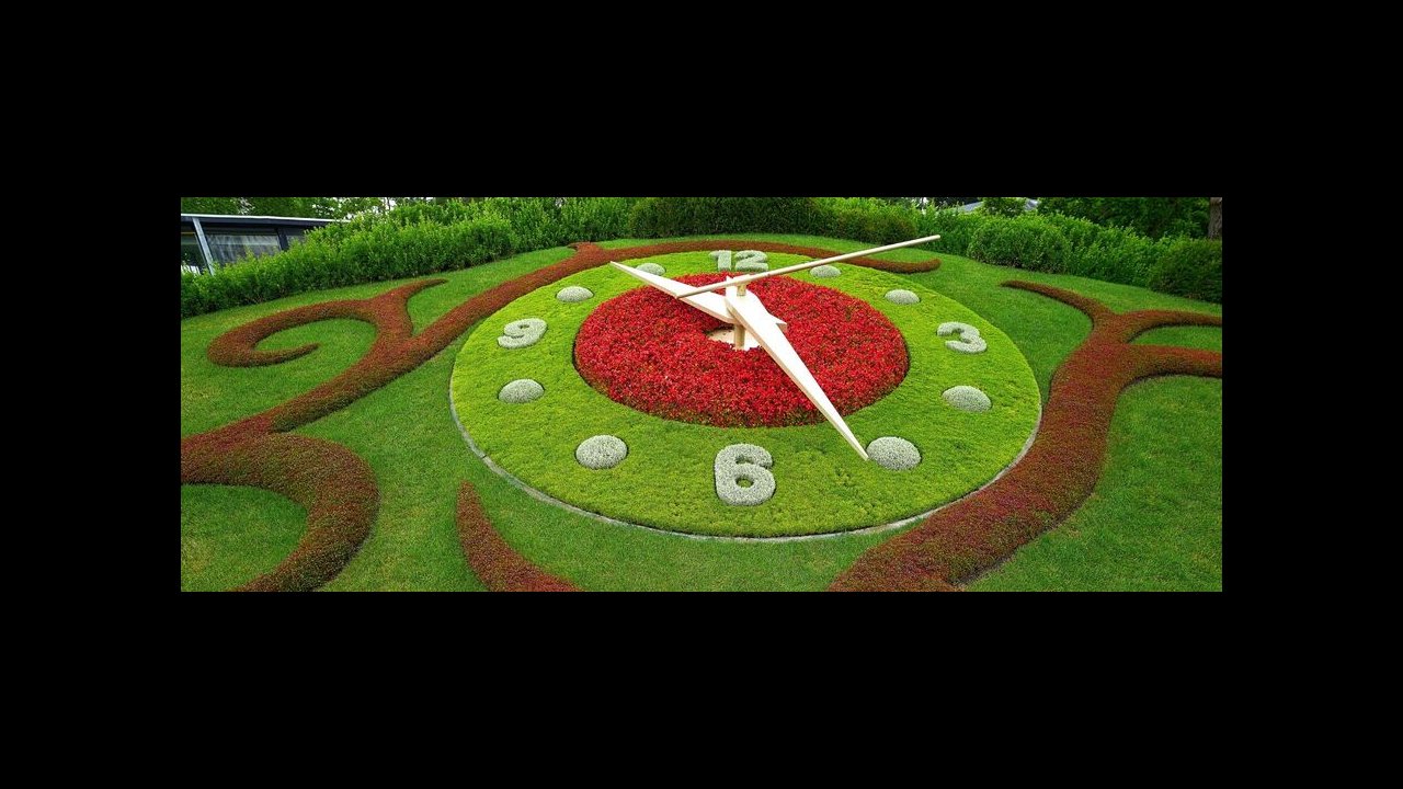 Flower Clock