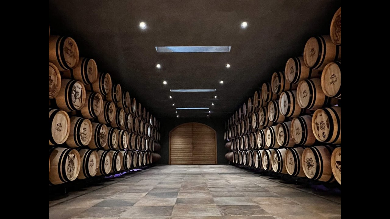 Wine Tasting Cellar
