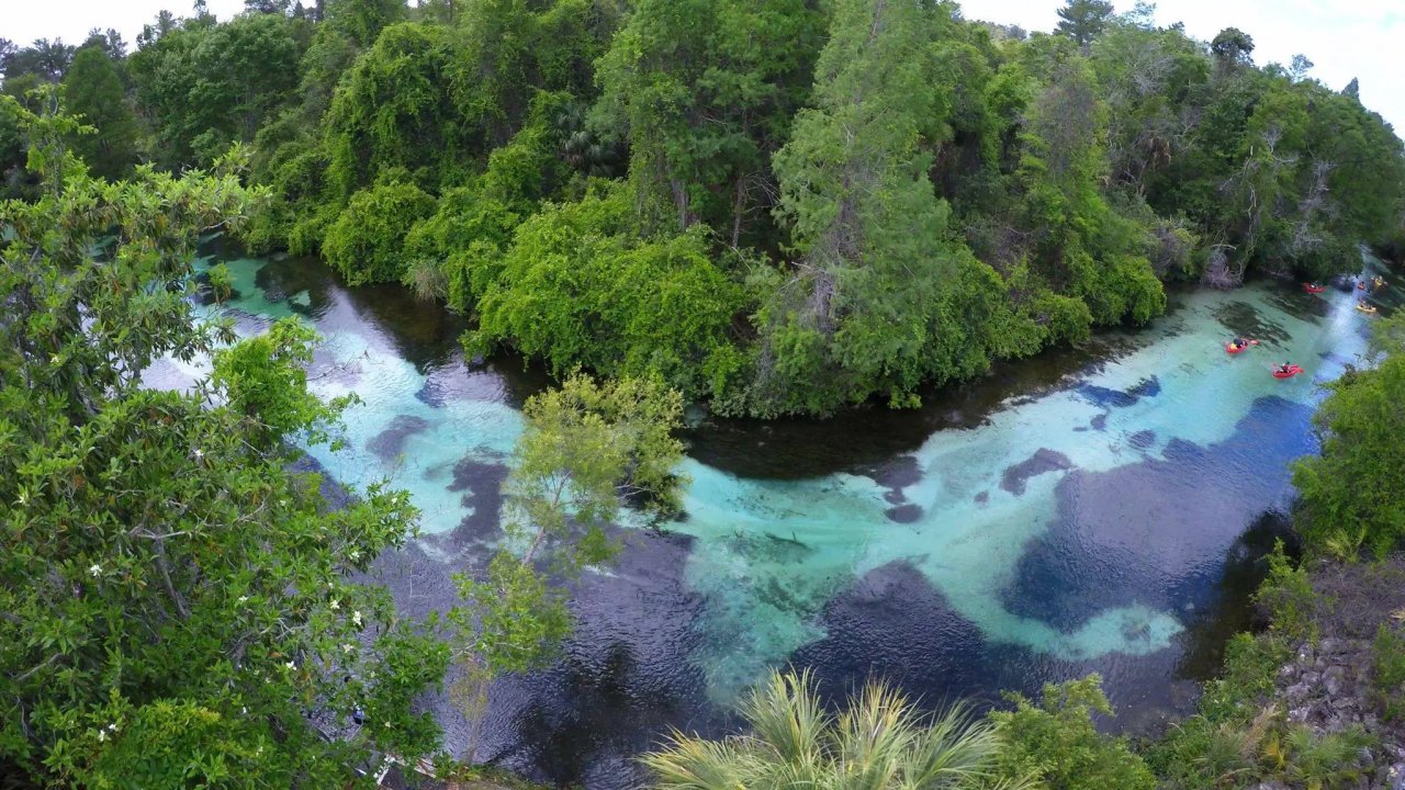 Weeki Wachee River Bend