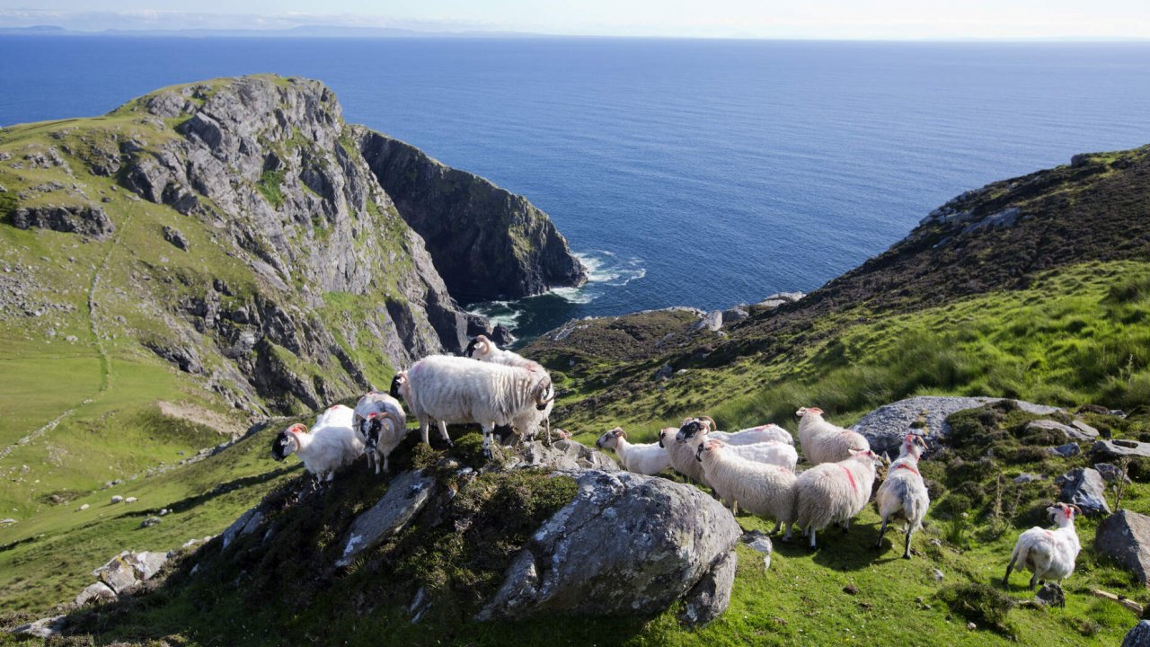 Sliabh Liag Cliffs