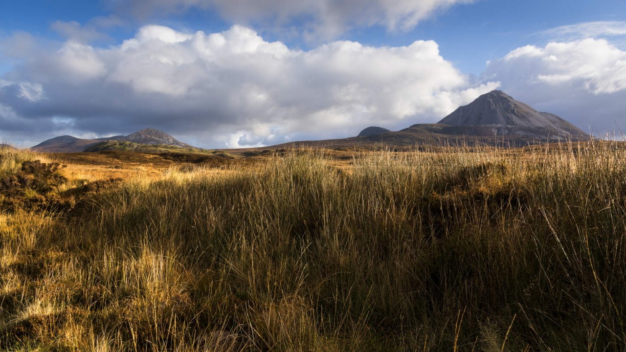 Derryveagh mountains