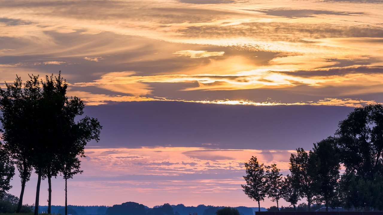 Dutch Countryside
