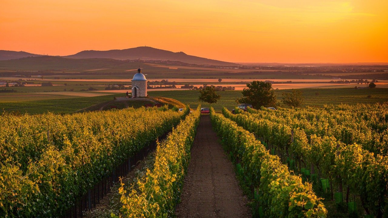 From Vienna: Moravia Castles + Wine: Lednice, Valtice, Mikulov - OTA - Private