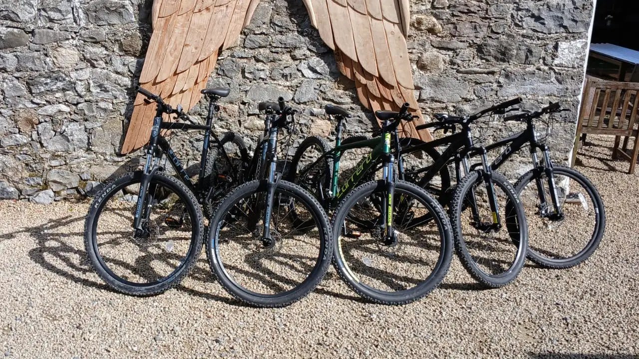 Mountain Bikes