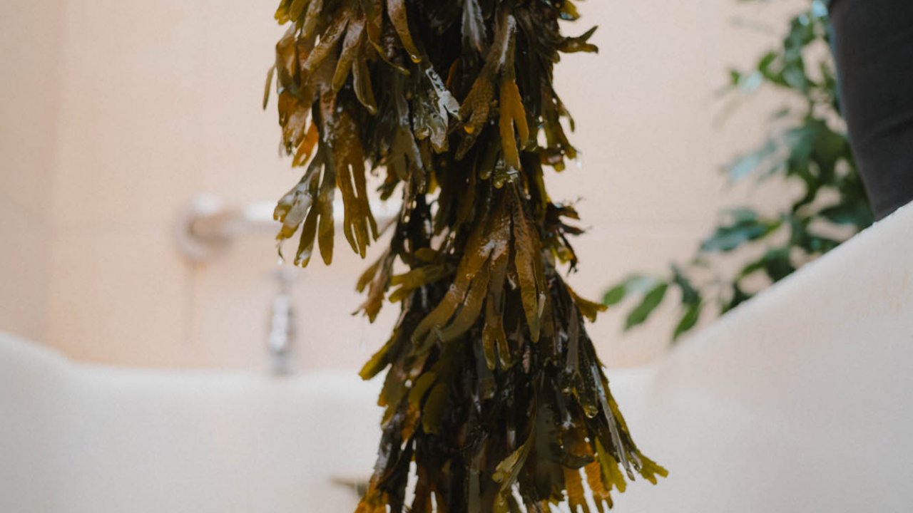 Using hot and cold seawater, with freshly harvested seaweed for you to experience the traditional therapy at its best