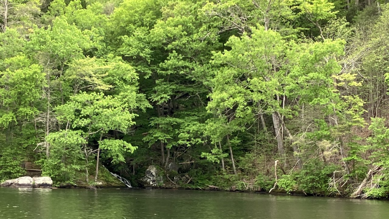Prydden Falls, a small waterfall on the lower loop