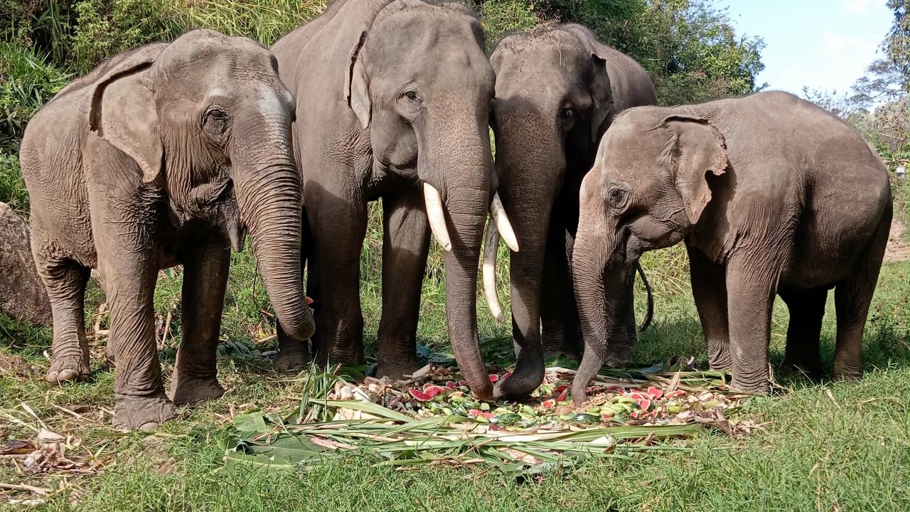 KEC Half-Week Volunteer Experience