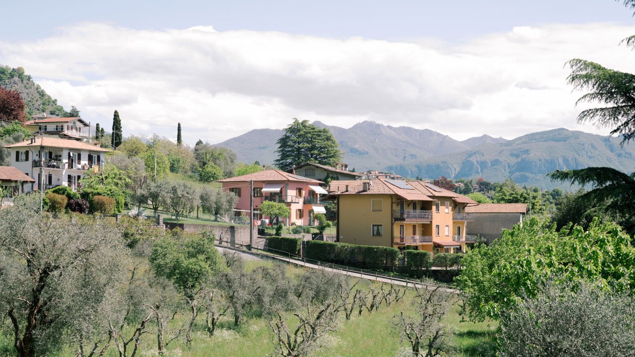 Olive grove views from dinner