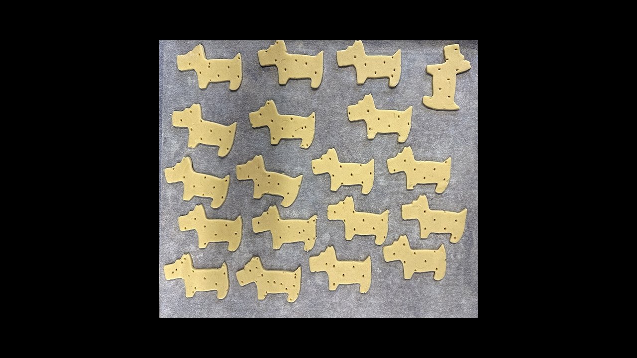 A pack of Scottie dogs ready for baking