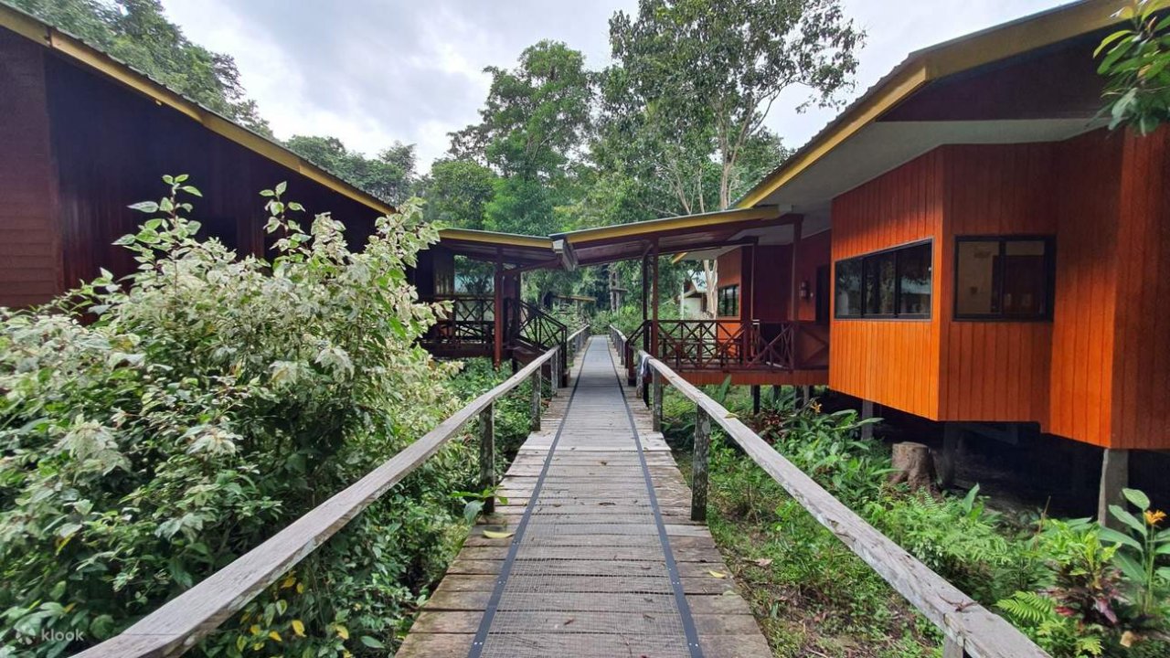 Jungle Lodge along Kinabatangan