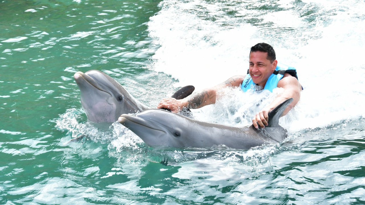 Swimming with dolphins in St. Kitts