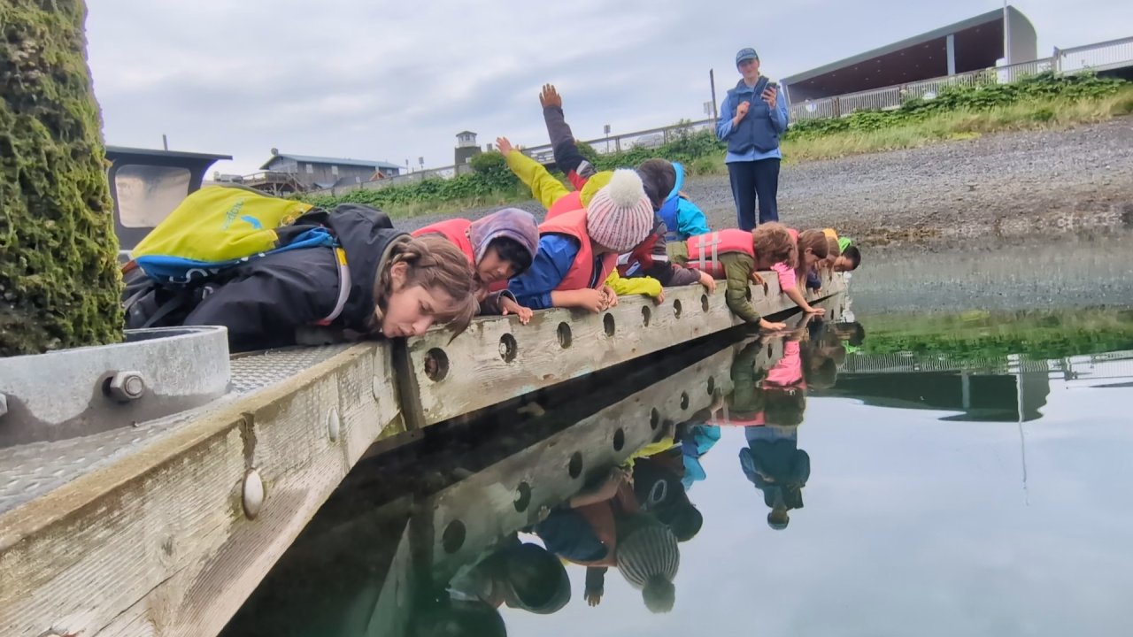 Guests learning about intertidal ecosystems.