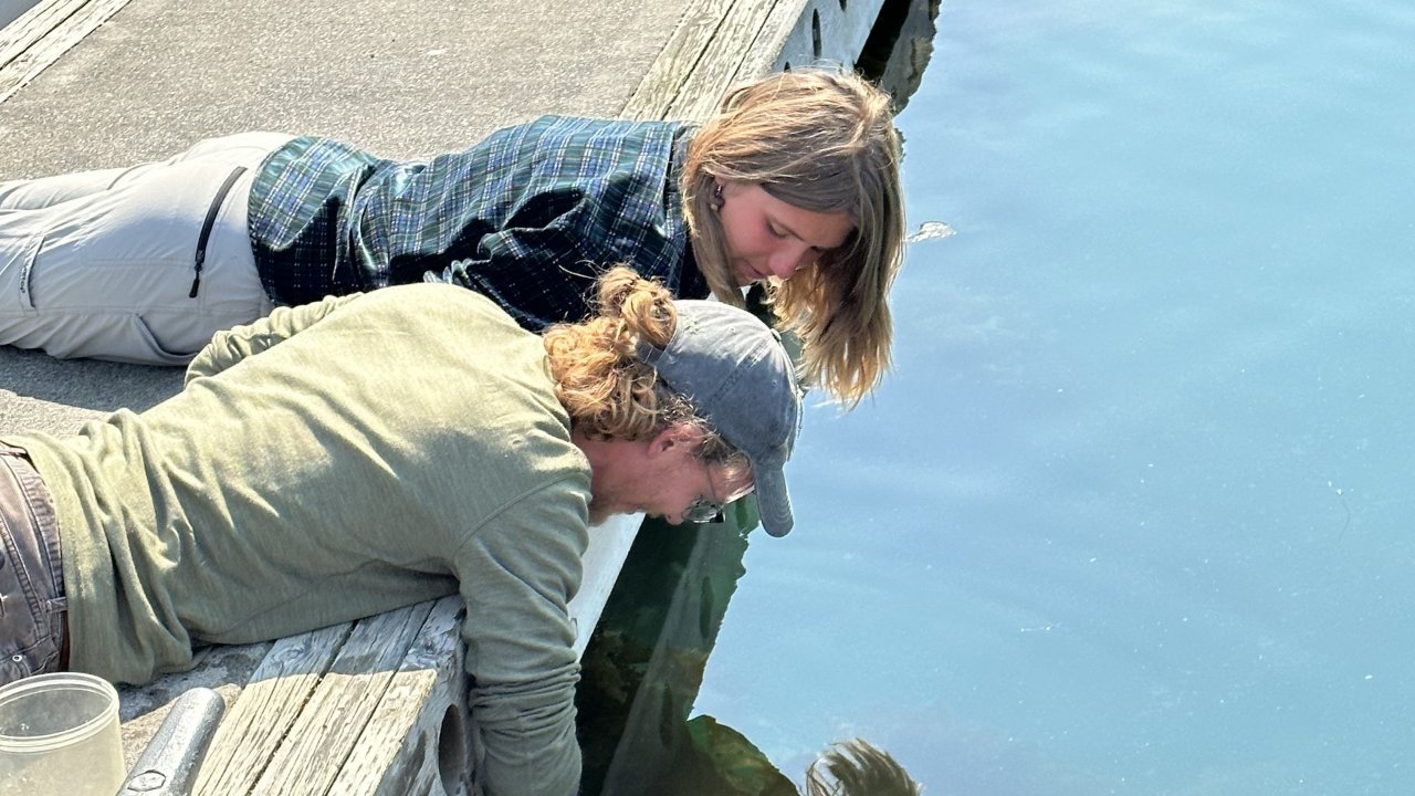 This tour is suitable for all ages!